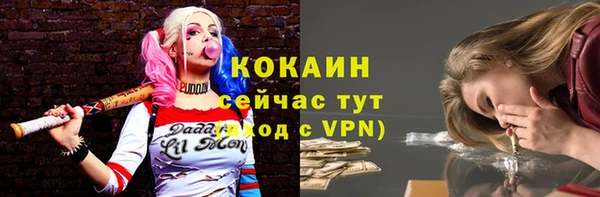 PSILOCYBIN Ельня