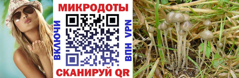 где купить наркотик Богородицк hydra как зайти Псилоцибиновые грибы ЛСД